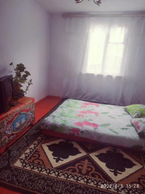 Akjol guest house.Altyn- Arashan